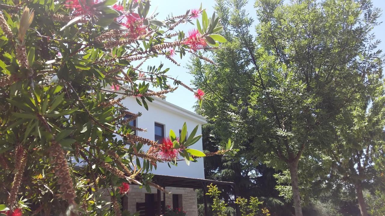 Sivota Apartments Athina Exteriér fotografie
